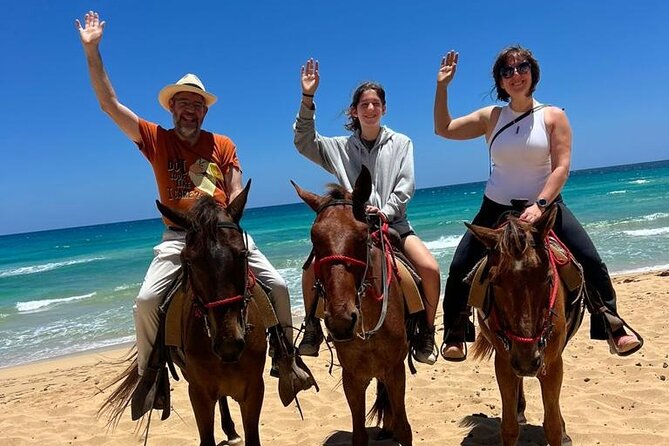 Beach Sunset Horseback Ride in Punta Cana - The Horses and Safety Standard, How Calm Really Helps