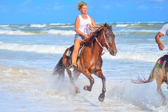 Beach Sunset on Horse Riding in Punta Cana(Private Option) - Key things to know before you go