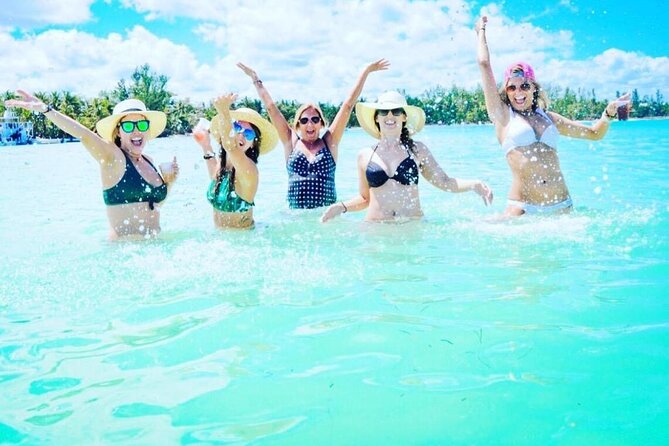 Best Party Boat Adults Only with Open Bar - Dolphin spotting: when the coast turns into a short nature show