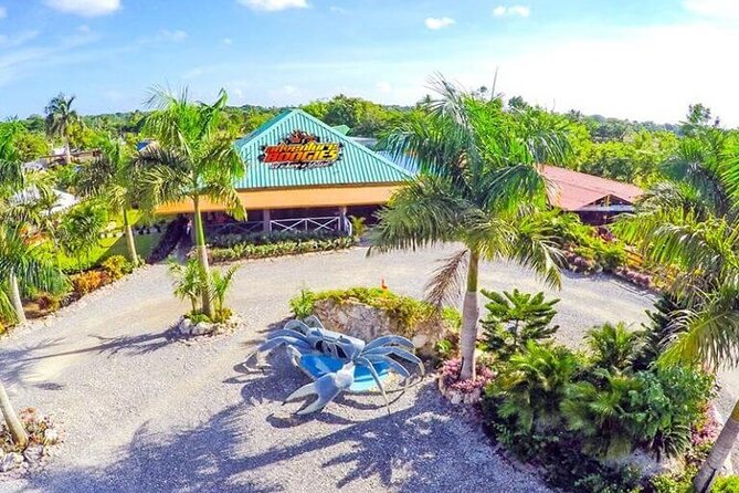 Boogies Adventure, Private Cave, Taino Show - Getting to the ranch, and why Macao Beach feels different