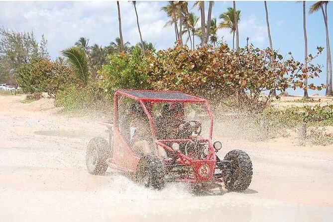 Boogies & Polaris - Explore Punta Cana in a Buggy - Price and logistics: value is real, but manage the risk