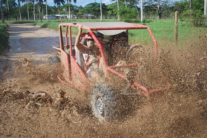 Buggies Experience From Punta Cana - Key highlights worth building around