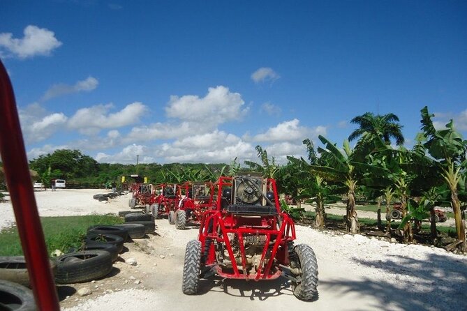 Buggies Half Day Experience and Cenote - Should You Book This Half-Day Buggy and Cenote Tour?