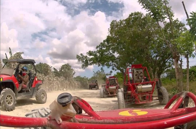 Buggies Punta Cana Macao - Families with Children: What You Need to Know