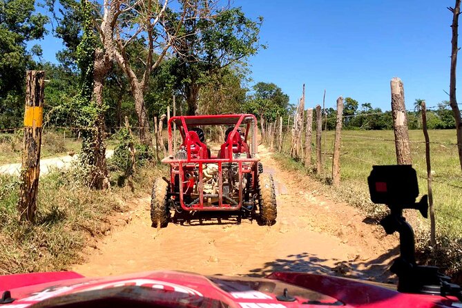 Buggy Adventure: Macao Beach & Cenote Experience - Typical Dominican house visit: How products become local life