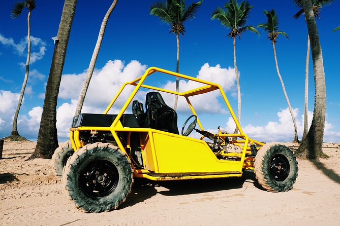 Buggy Adventure: Macao Beach & Cenote Experience - Cenote Taina cave and cenote swim: A real break from the driving