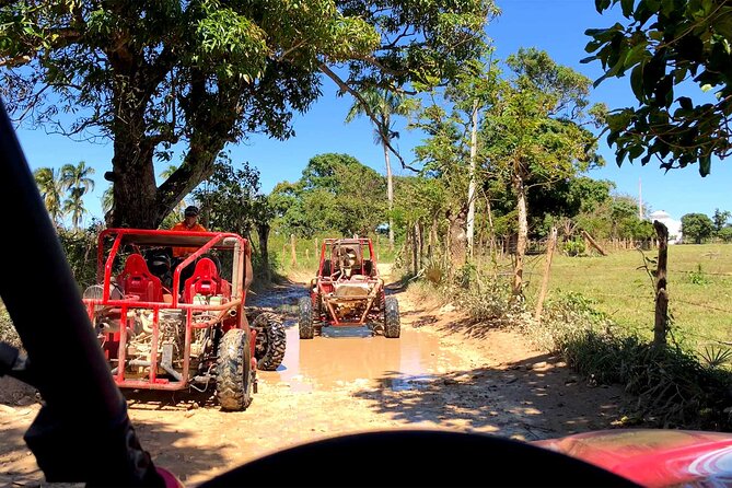 Buggy Adventure: Macao Beach & Cenote Experience - Price and value at $60: What you’re really paying for