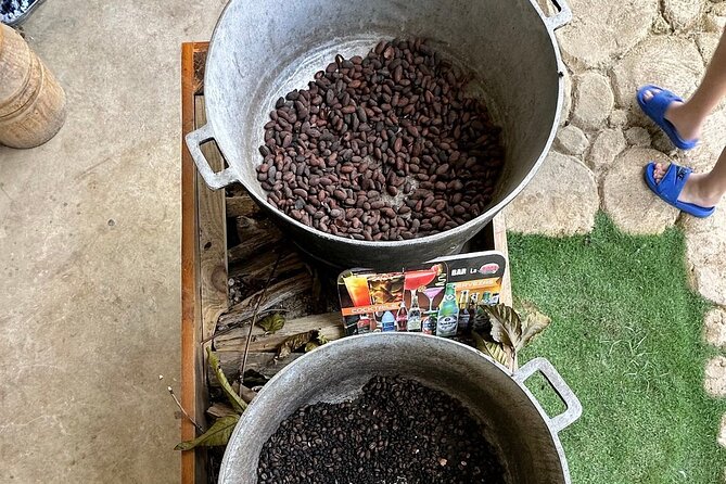 Buggy Adventure Tour with Chocolate and Coffee in Punta Cana - Key Highlights You Should Know Before You Go