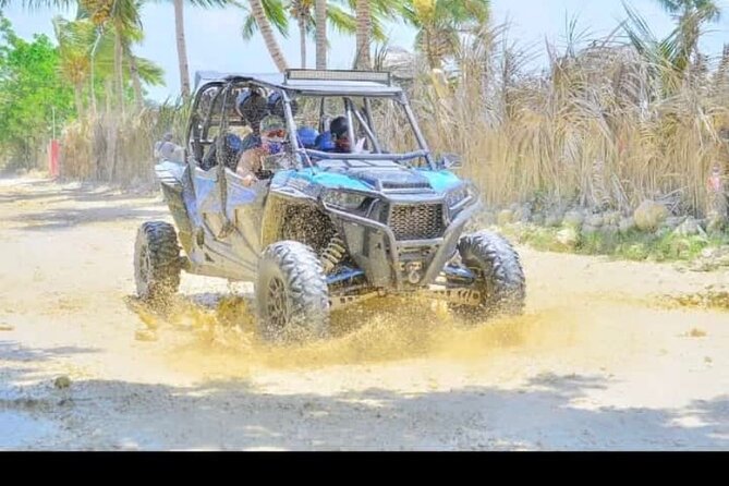 Buggy & ATV Outdoor Tour in Punta Cana - Animals, palms, fruit trees, and the ranch factor