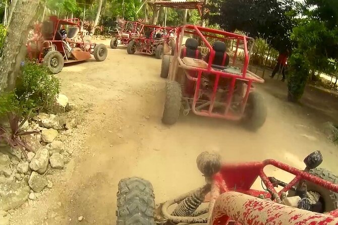 Buggy Extreme Tour to Macau Beach and River Cave in Punta Cana - The value question: is $29 a fair price for this itinerary?