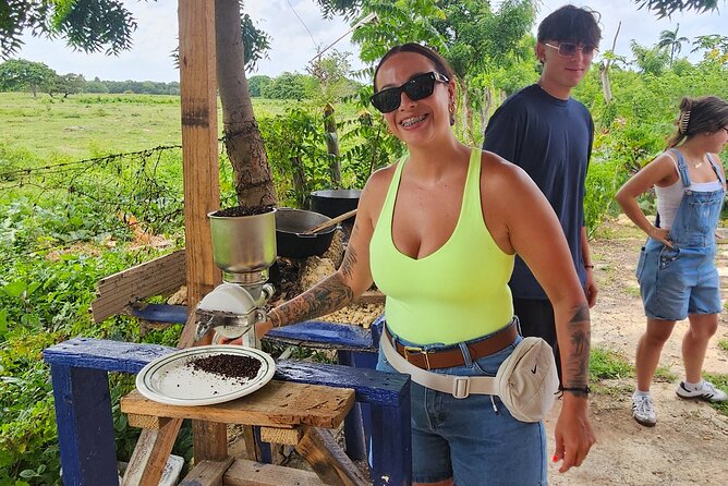 Buggy, horse and plantation ranch - Key Highlights I’d Prioritize Before You Go