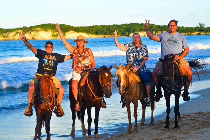 Buggy, horse and plantation ranch - What’s Included on the Ranch: Snacks, Coffee, Chocolate, and Mama Juana
