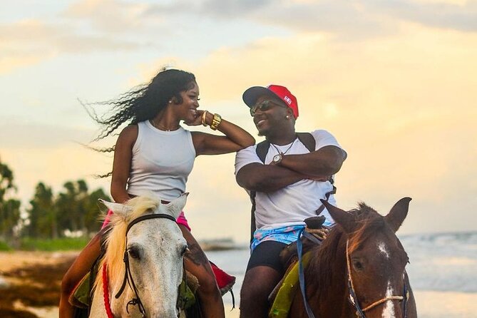 Buggy, horse and plantation ranch - Price and Value: Is $65 Worth It?