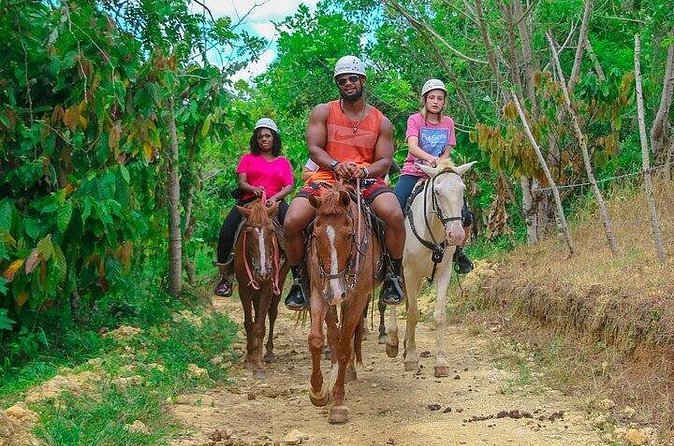 Buggy, Horse and Zip Line with Lunch included from Punta Cana - Lunch included: how to plan for a full day of activity