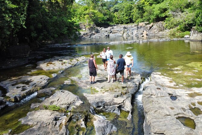 Buggy Ride, Horseback, Zipline,Eco Farm,Macao Beach - Price and Value for $130 per Person