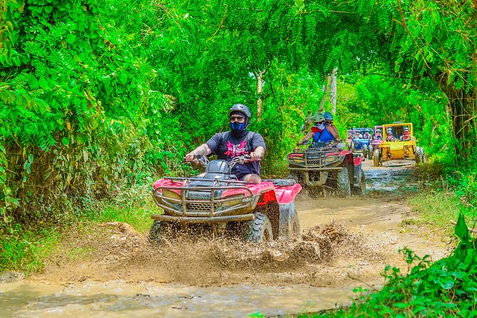 Buggy Ride Into the jungle with cave coffee & chocolate tasting - Value for $53: what you get, what you do not, and where extra money appears