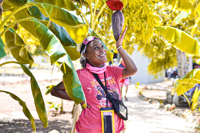 Buggy Tour Punta Cana: MagicalCaves ,Dream Beaches & Culture - Organic Farm and Dominican Tastings: Cacao, Coffee, and Mamajuana