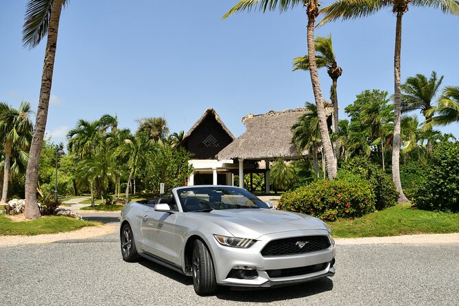Cars for Rent in Punta Cana - Your Self-Guided Day Plan, Beaches to Caves to Waterfalls