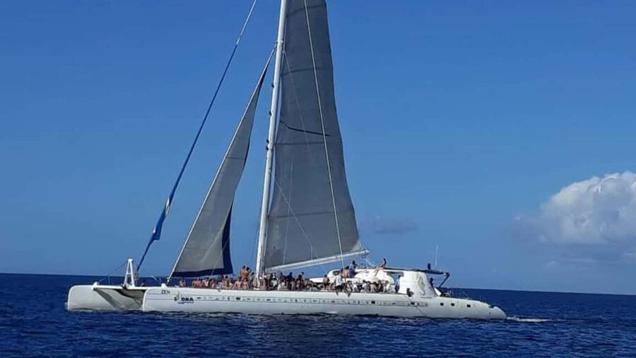 Catalina Island: Day Trip - Best Snorkeling! - Snorkel Stop 2, The Aquarium: shallow reefs and turtle chances
