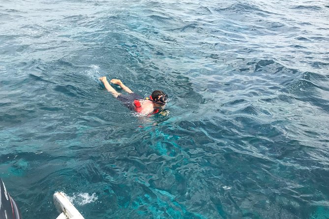 Catalina Island DayTrip + Great Snorkeling - Weather And When The Day Might Change