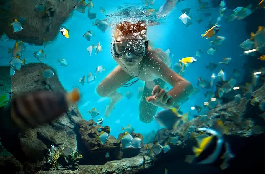 Catalina Island Full-Day Snorkeling + Lunch from Punta Cana - Key things to know before you book
