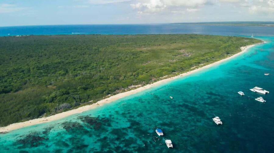 Catalina Island Full-Day Snorkeling + Lunch from Punta Cana - Who this tour is best for (and who should skip it)