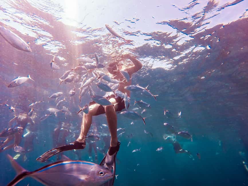 Catalina Island Full-Day Snorkeling + Lunch from Punta Cana - A practical escape to Catalina Island (without making it a whole travel project)