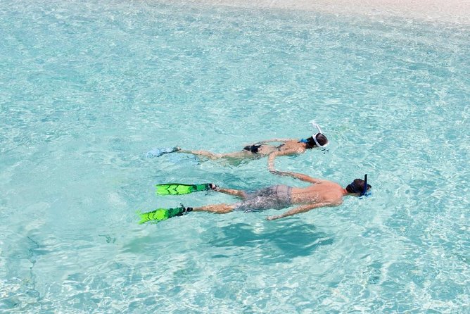 Catalina Island Scuba Diving and Snorkeling Tour from Punta Cana - Key things to know before you go