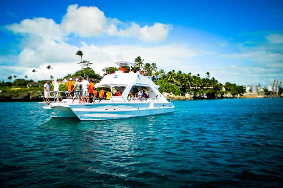 Catalina Island Scuba Diving Tour from Punta Cana - Catalina Island Marine life: two underwater spots, two different vibes