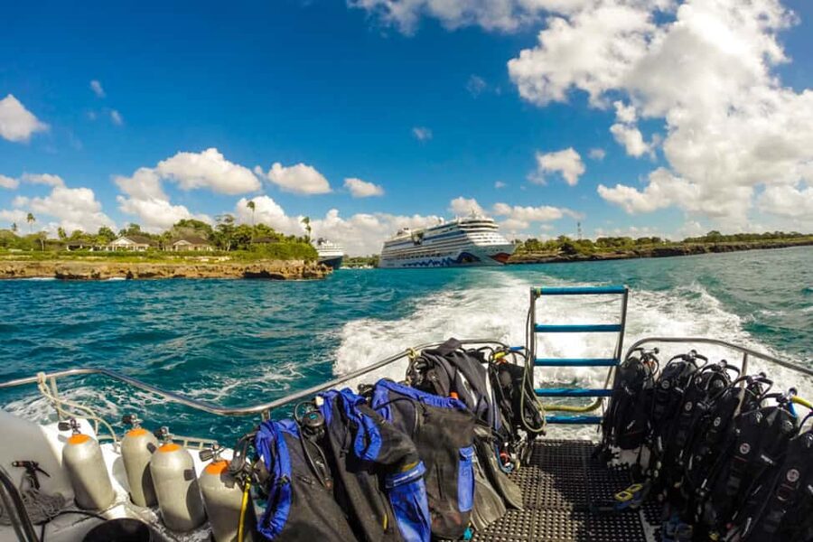 Catalina Island Scuba Diving Tour from Punta Cana - The beach BBQ on Catalina Island: where the day turns relaxing