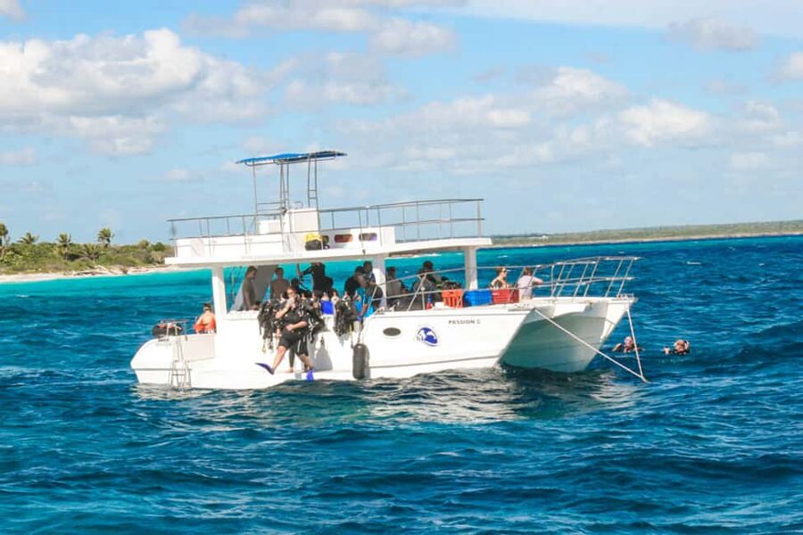 Catalina Island Scuba Diving Tour from Punta Cana - Scuba structure, certification, and health reality checks