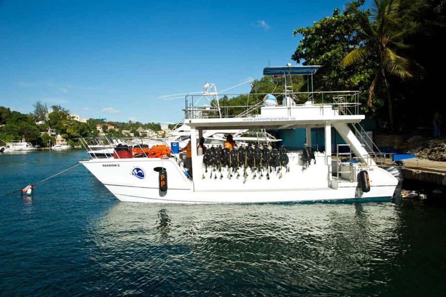 Catalina Island Scuba Diving Tour from Punta Cana - Catamaran ride: how to make the trip part of the fun