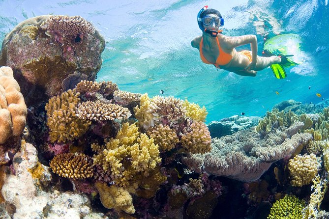 Catalina Island Snorkel Excursion from Punta Cana - Key Points to Know Before You Go
