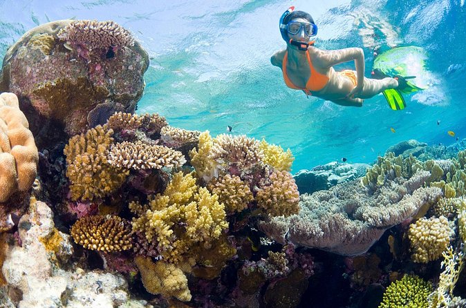 Catalina Island Snorkel Excursion from Punta Cana - Why Catalina Island From Punta Cana Feels Like a Real Island Escape
