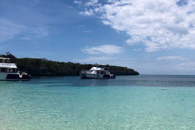 Catalina Island Snorkeling: Explore its Crystal Clear Waters - Isla Catalina: The 4-Hour Block That Makes It Feel Like More Than a Stop