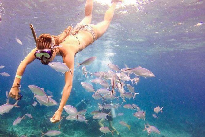 Catalina Island & Snorkeling Paradise From Punta Cana - Key highlights if you want Catalina’s best snorkeling