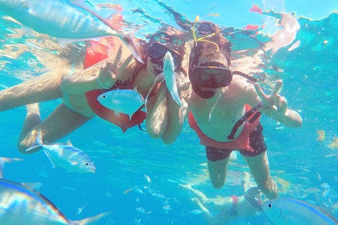 Catalina Island & Snorkeling Tour - Price and value: what $90 gets you, and what might lower the value