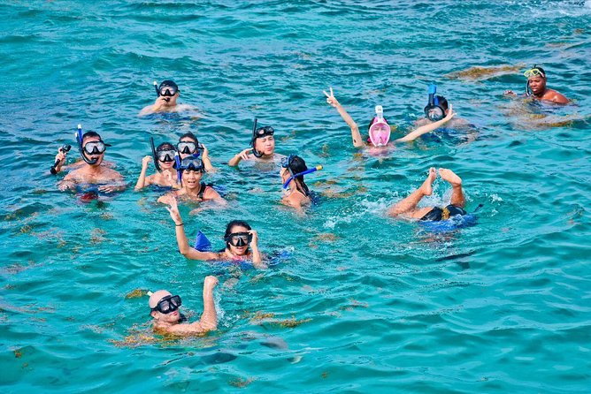 Catalina Island & Snorkling Tour Full Day All Inclusive - Key highlights you’ll care about