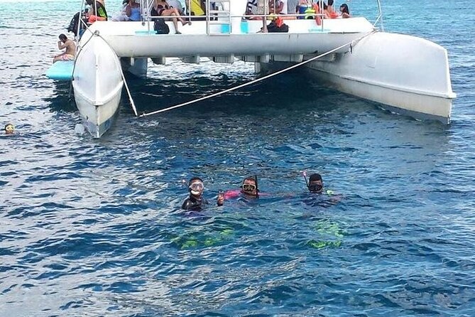 Catalina Island & Snorkling Tour Full Day All Inclusive - Common trip-day problems, and how to avoid a bad day