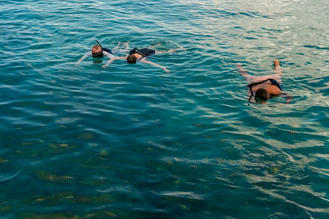 Catalina Sailing Experience in Punta Cana with Food and Drinks - Coral wall snorkeling at muro de coral, what to expect