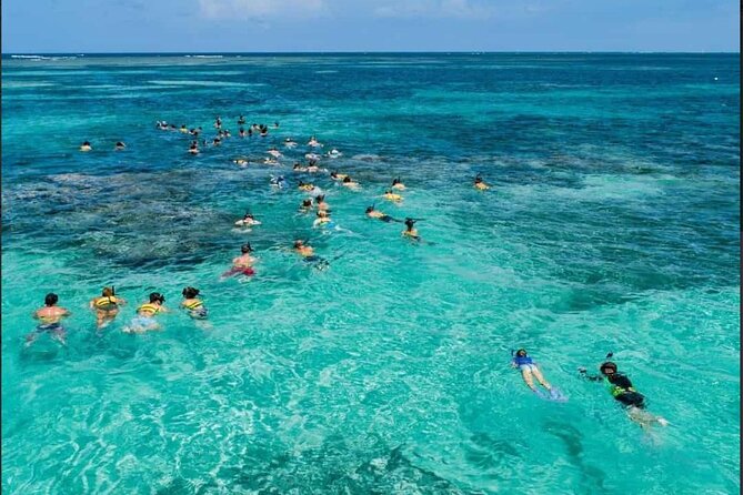 Catamaran and Snorkeling Party with Drink Included in Punta Cana - Punta Cana Catamaran Party: What the $59 Really Buys