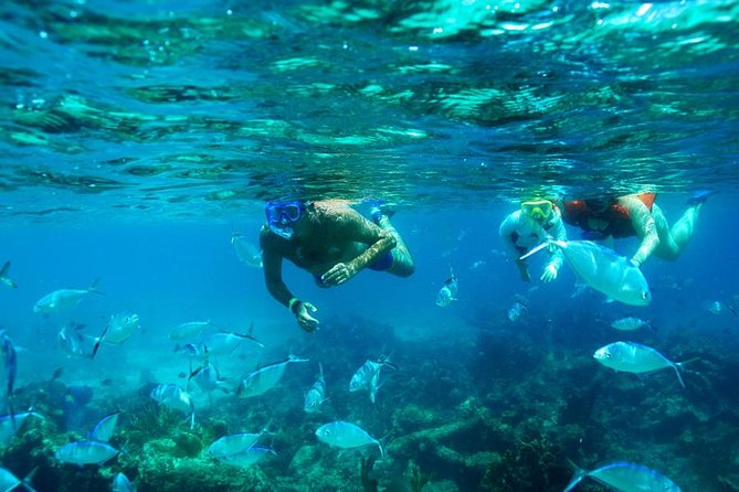 Catamaran Booze Cruise And Snorkeling Punta Cana - Adults Only - Quick takeaways before you go