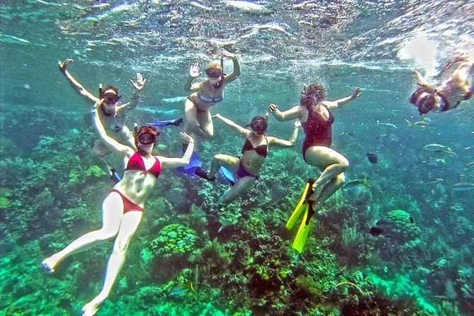 Catamaran Catalina Island Day Trip with Lunch - Catalina Island by catamaran: pricing and what it covers
