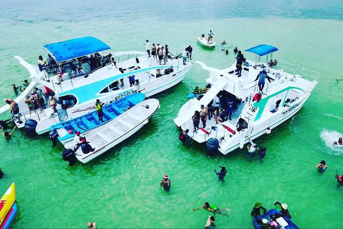 Catamaran party in Punta Cana with open bar, music and more - Stop 2 at Arrecife de Coral: your snorkel window