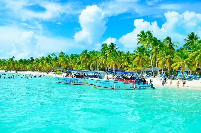 Day Trip to Saona Island with Lunch and Open Bar - Key highlights you should care about