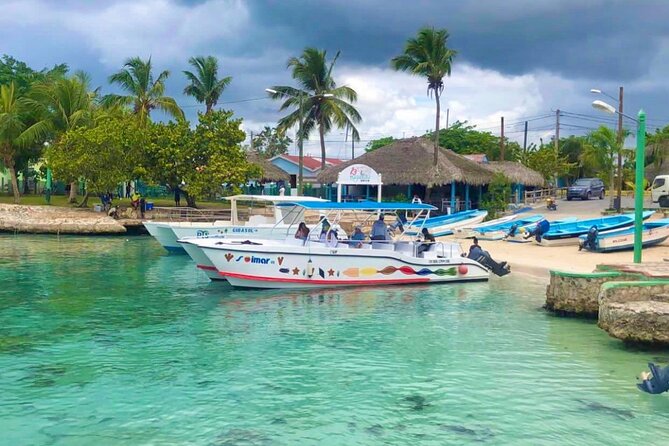 Day Trip to Saona Island with Lunch and Open Bar - Palmilla Beach on Isla Saona: where the day starts to feel real