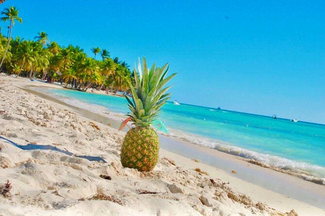 Day Trip to Saona Island with Lunch and Open Bar - Dominican buffet lunch on the beach: food that fits the mood