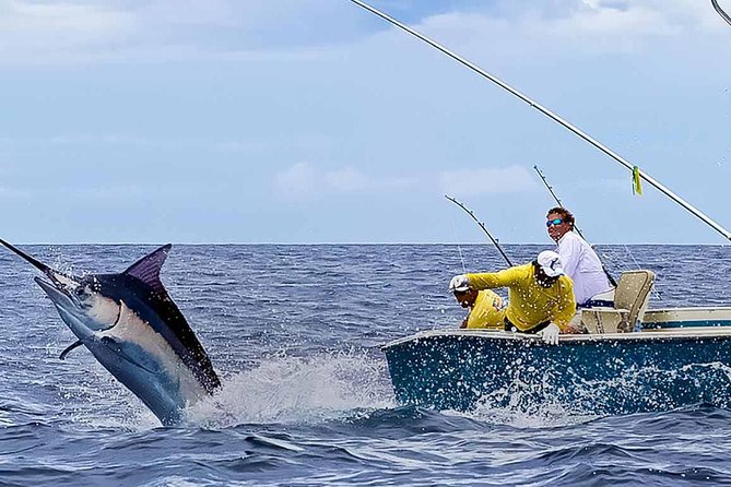 Deep Sea Fishing Half Day - Deep sea fishing Punta Cana, the half-day version: what makes it worth $50