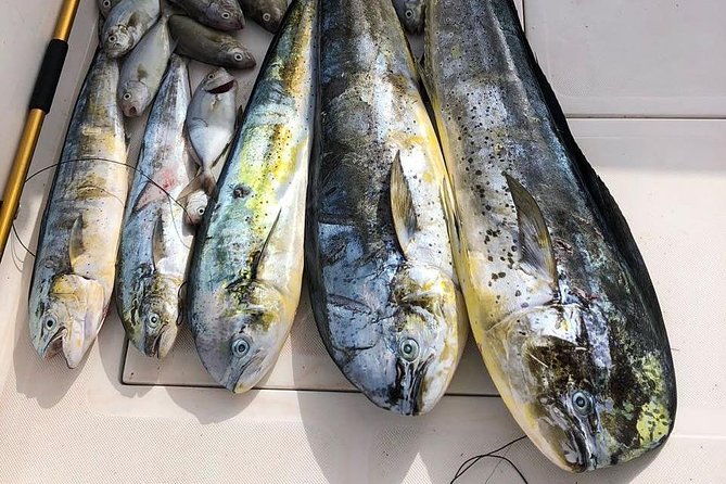 Deep Sea Fishing Tour - The main fishing block at Cabeza de Toro Beach