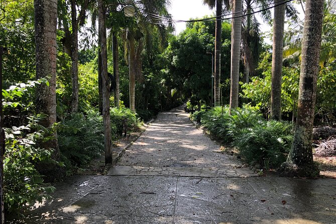Discover Dominican life - Price and what $115 really buys you